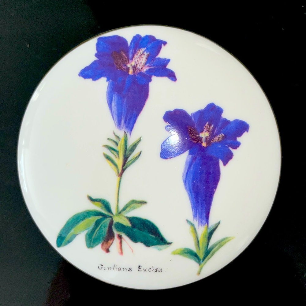 Mrs Forster Collection Trinket box